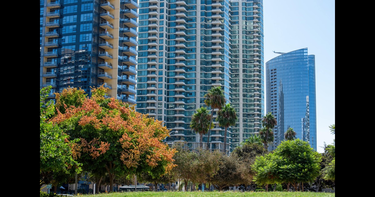 3 BHK flat in Sigma 3 Greater